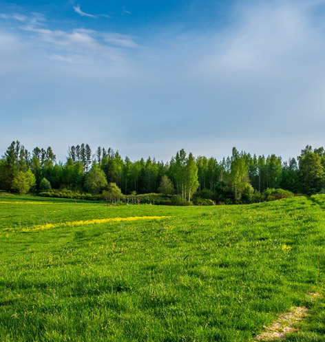 Un 2° passo verso l'Ambiente